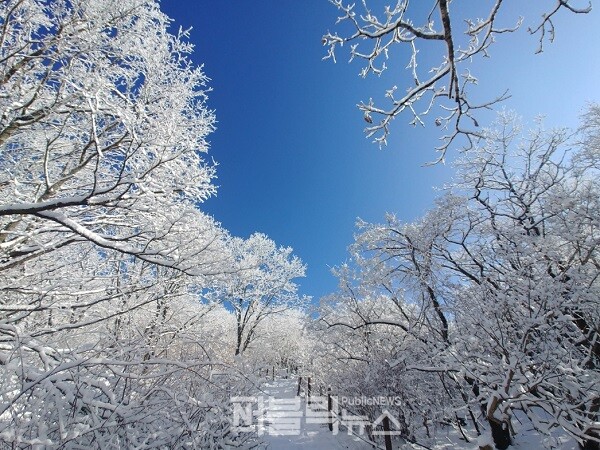 [단양군 소식] 소백산 등 지역 관광지···겨울철 이색 여행지 인기