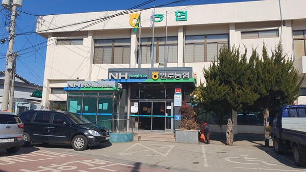 무안군 일로농협 A 조합장, 보험사기 및 비위 의혹...수사 전방위 확대
