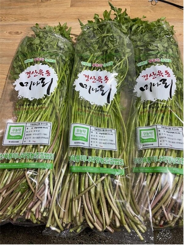 [경산 소식] 조현일 경산시장, 산림연접지 영농부산물 파쇄사업 현장 방문 外