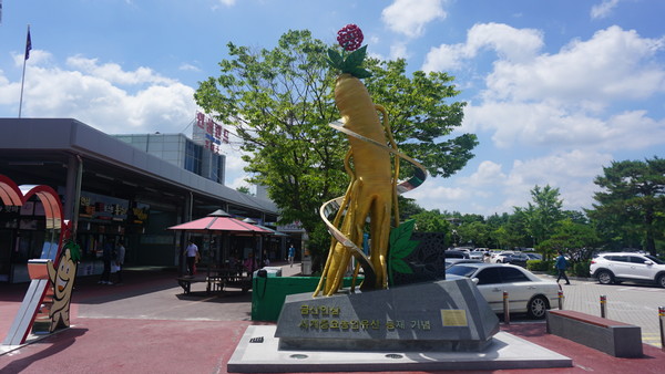 [르포]테마가 있는 명품 휴게소...인삼랜드·신탄진 휴게소에 가다