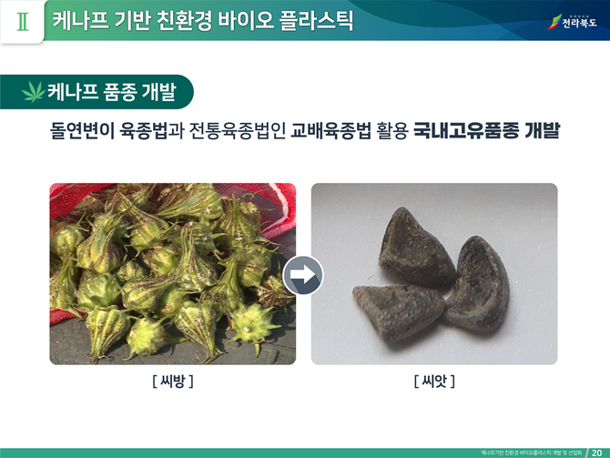 전북도, 케나프 기반 친환경 플라스틱 그린뉴딜 우수사업 선정