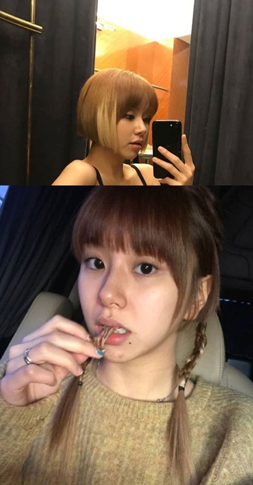 트와이스 채영, 어떤 헤어스타일도 완벽 소화...청순美
