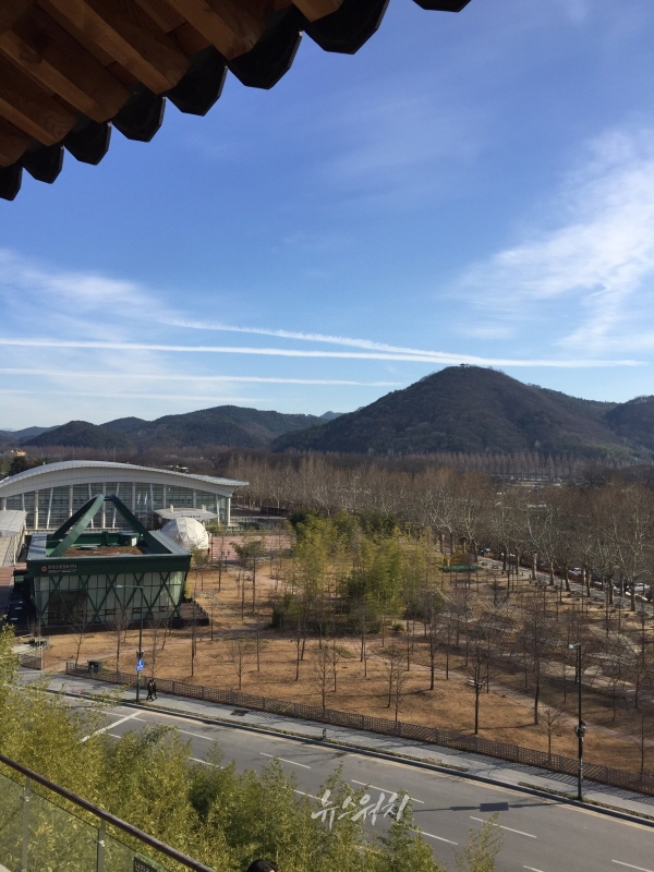 [여행 돋보기] 담양 죽녹원