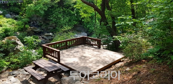 국립자연휴양림 여름성수기 추첨 결과, 대야산자연휴양림 숲속의 집 경쟁률 1위