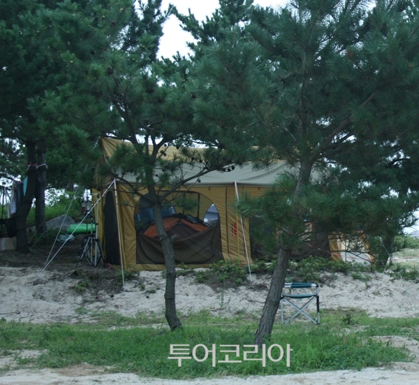 미등록 야영장 320개 불법영업 정황 확인..9월 말까지 집중단속