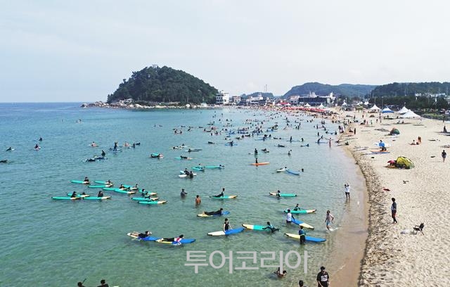 남대천 은빛 억새 손짓하고 연어들이 반기는 양양으로 가을여행!