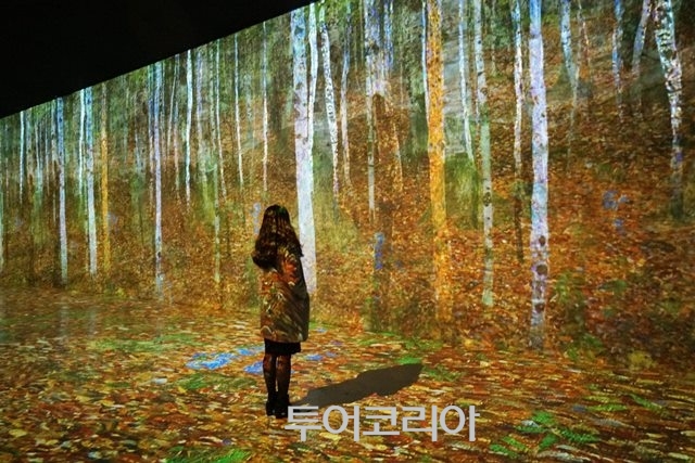 올 한해를 밝힌 한국관광의 별은? 엑소, 어서와~한국은 처음이지? 등 선정
