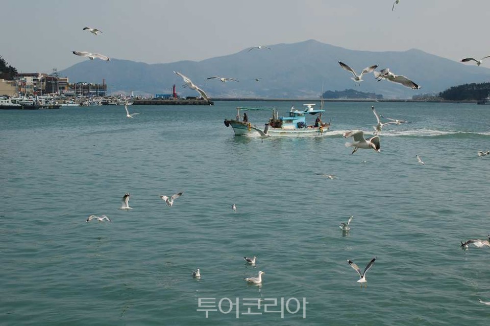 고흥 녹동항에서 놓칠 수 없는 맛!...맛있는 섬여행! 섬에서 삼시세끼③