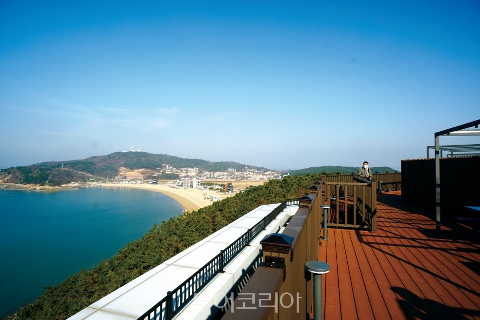 더위크앤 리조트 인천 애견숙소