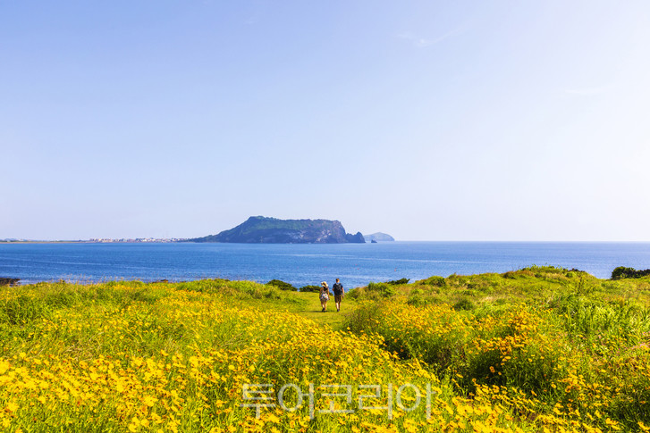 웹투어 제주도항공권 4,900원 이벤트로 제주의 봄 만나요!