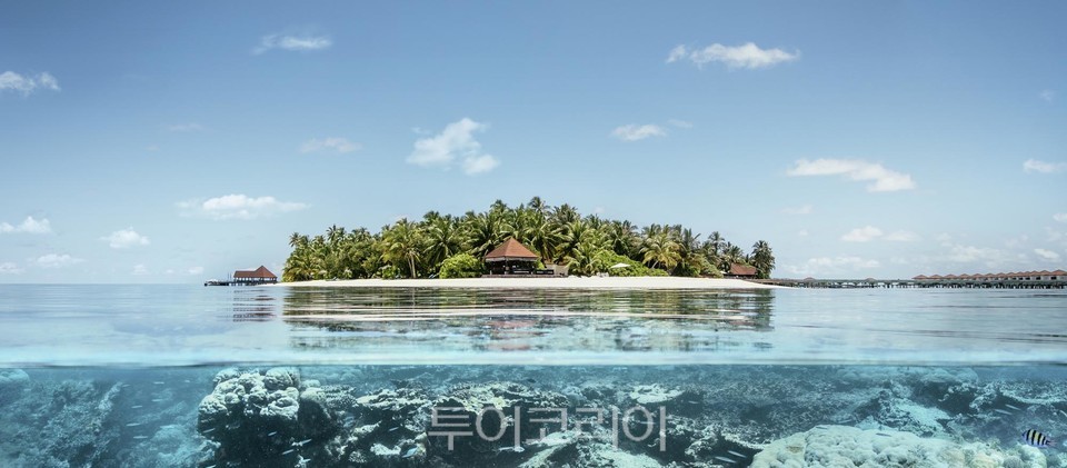 하나투어, 코로나 후 첫 몰디브 허니문 오늘 출발...허니문여행 재개 기대감↑