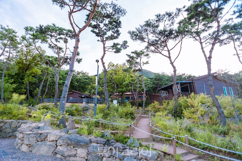 도심 속 초록 자연 쉼터 천안 태학산·태조산에서 힐링!    