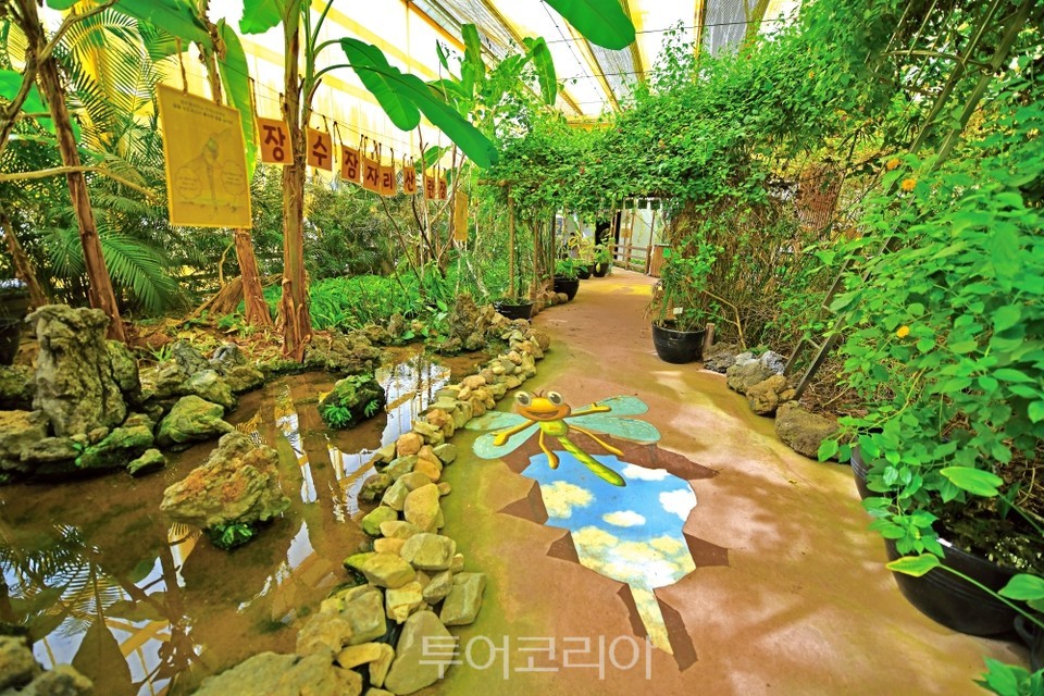 달콤함이 배가되는 짠내 투어...우포늪과 우포잠자리나라