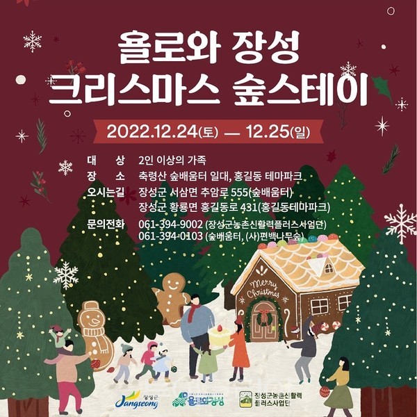 장성 편백숲에서 보내는 크리스마스 숲스테이 인기!