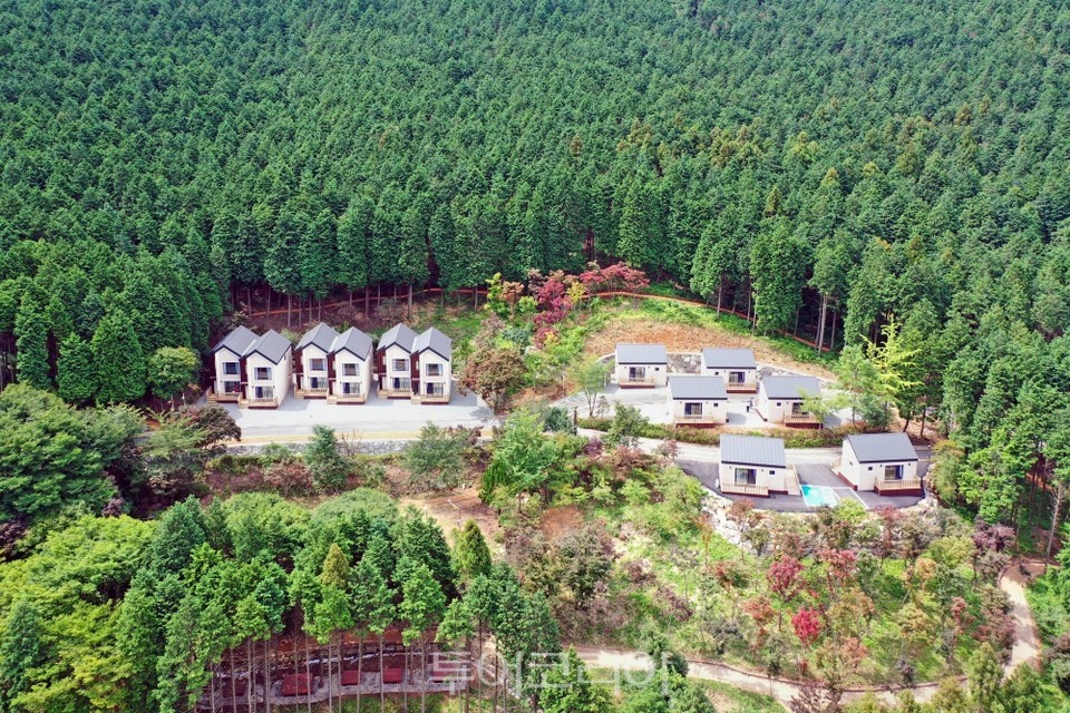 사천 케이블카 자연휴양림