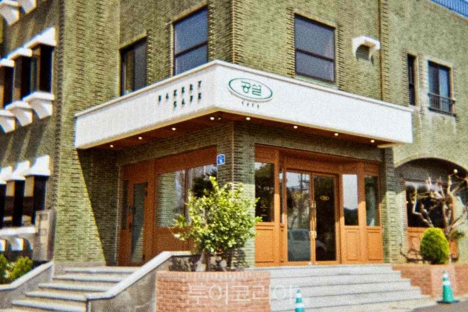 꽃비 내리는 제주의 봄 낭만 즐기러 삼도동 벚꽃로드!