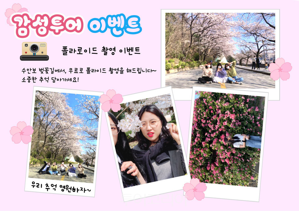충주 감성투어 정기코스 충주의 봄에 가봄 내달 8일 운행 