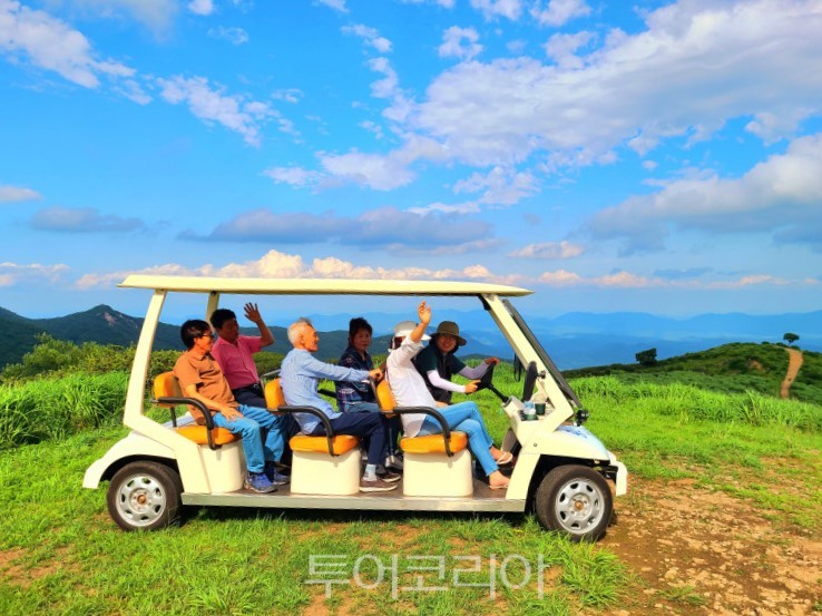 4년만에 돌아온 합천 황매산 철쭉제로 꽃분홍 화사한 봄 만끽! 