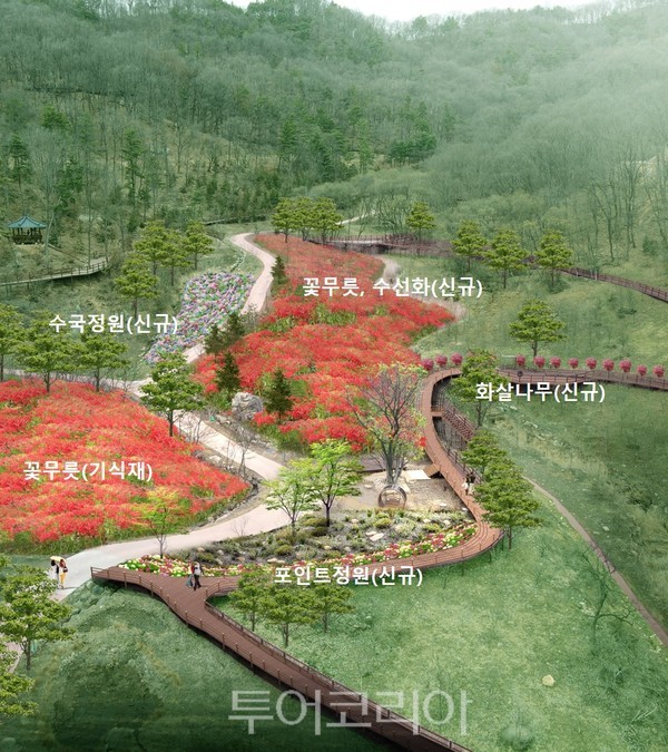 대전 치유의 숲에 꽃 정원 조성