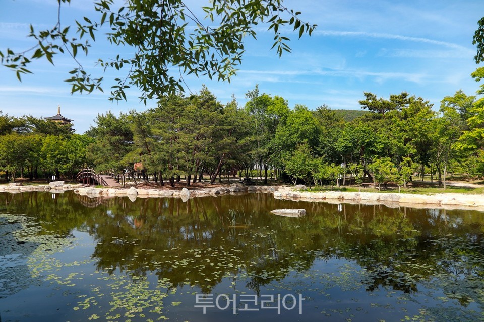 경주엑스포, 아평지·연지·계림지 3대 연못 매력에 빠져 힐링, 인생샷 찰칵