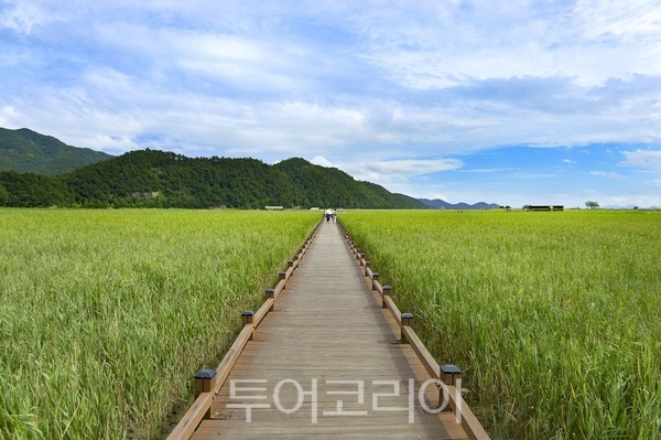 순천 세계유산축전, 생태보호운동 프레셔스깅으로 8월 1일 시작!