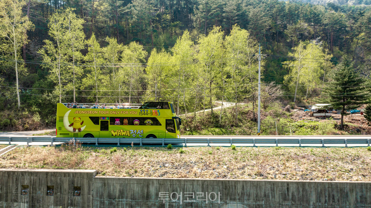 알찬 정선여행 시티투어버스 타고 즐겨요!