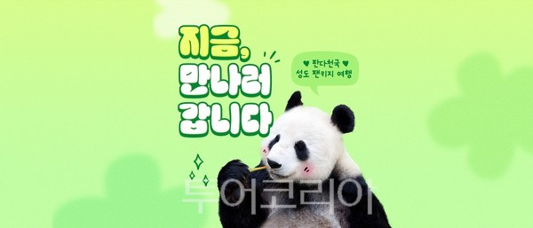 이모, 삼촌 팬 같이 떠나요..하나투어, 판다의 고향 성도 팬키지 여행 선봬