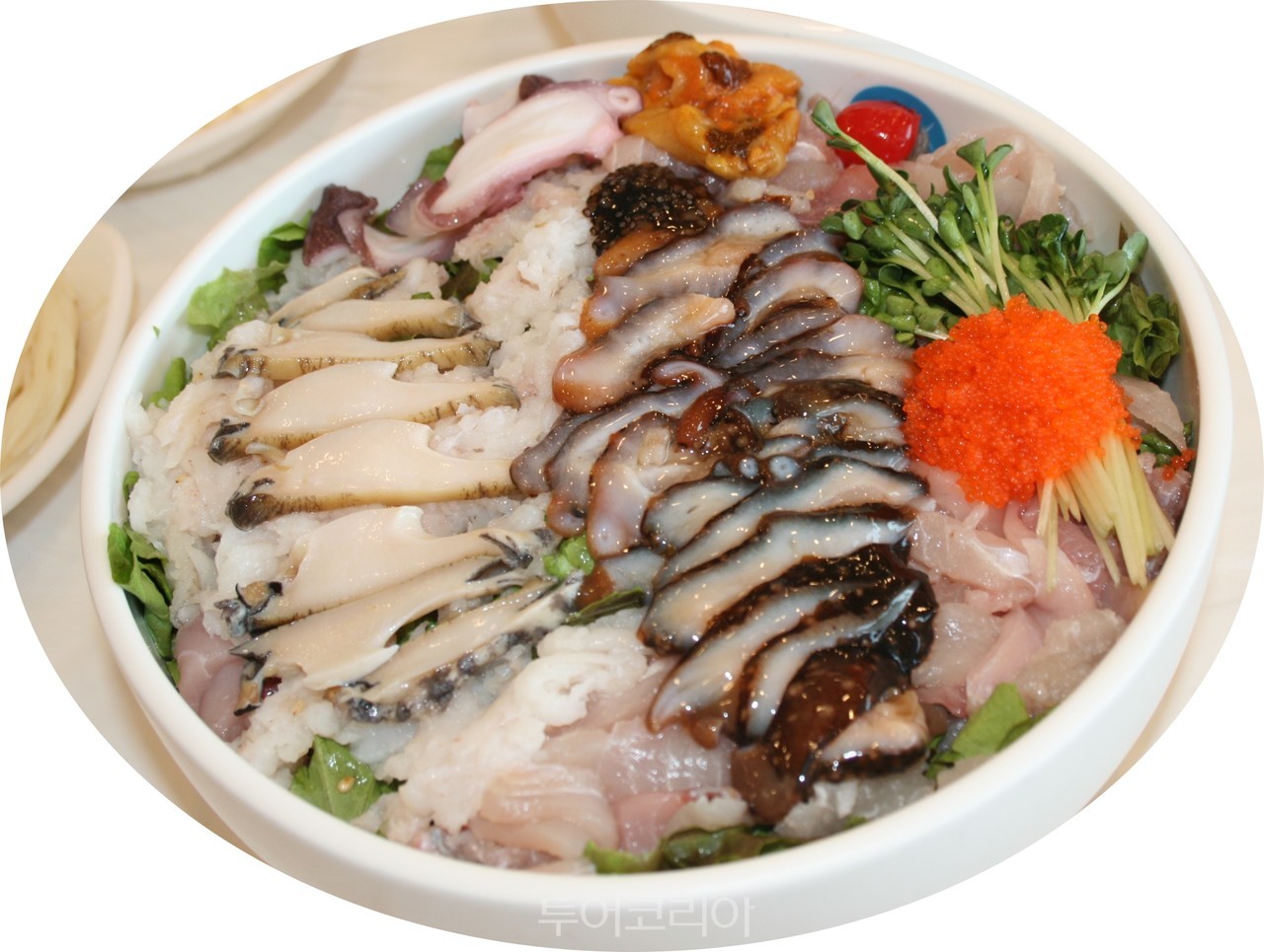 이 맛에 속초!… 속초 식신로드따라 먹방 만끽