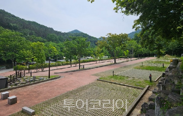 여름휴가 아직도 고민이라면 화순군 자연휴양림 어때요?