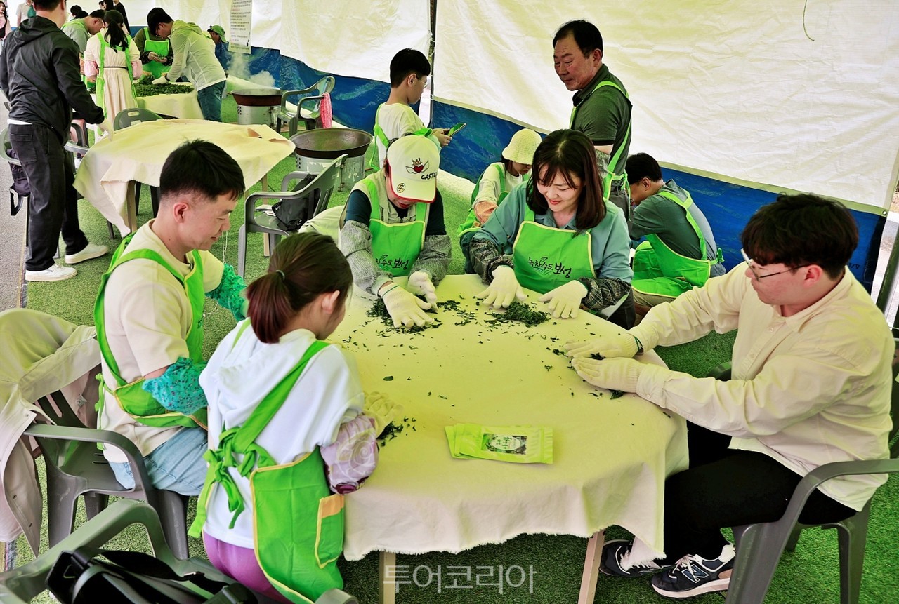 선조의 지혜 담긴 보성농어업유산 매력에 빠져볼까! ...찻잎 길 걷고 뻘배로 벌교갯벌 누비고