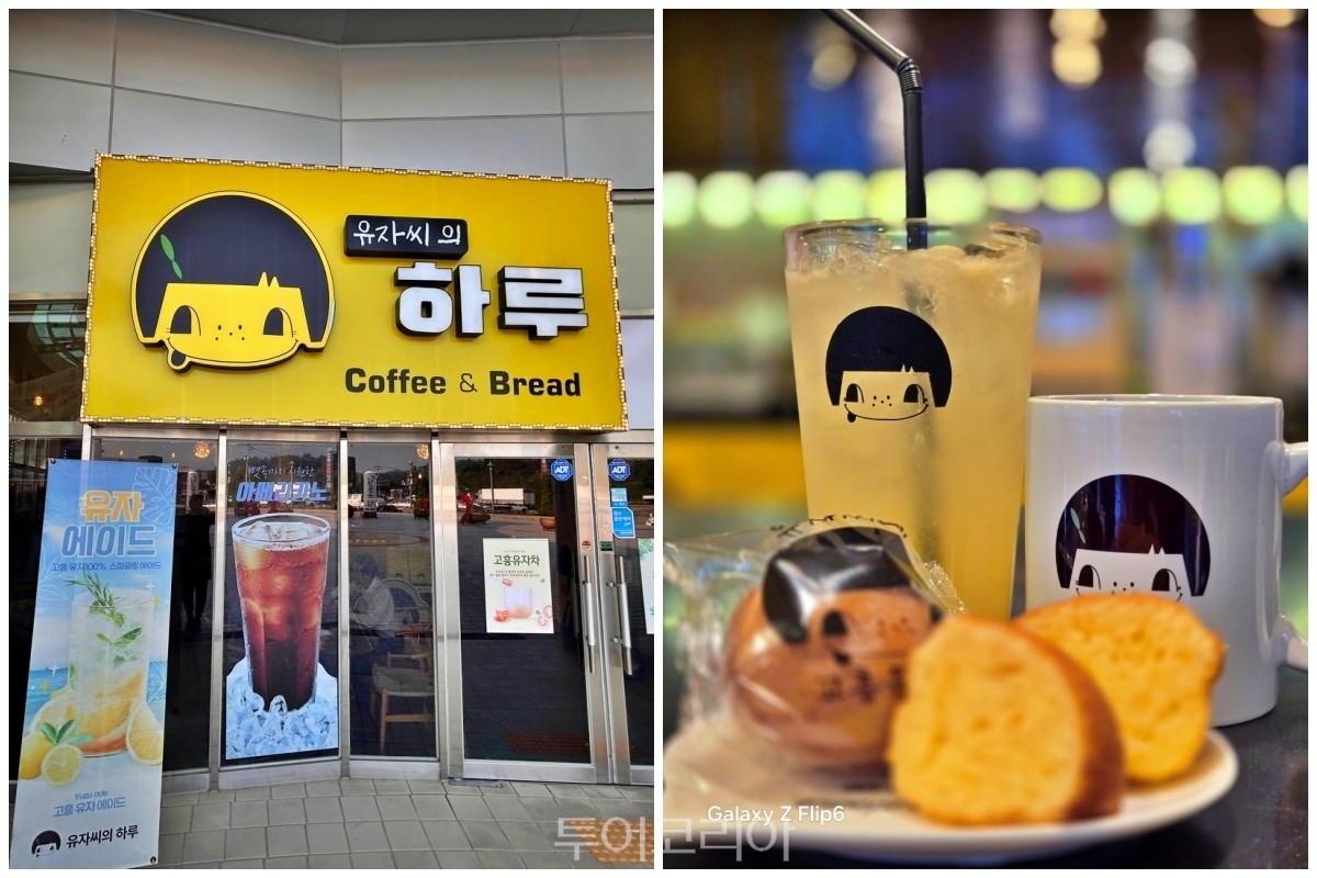 상큼달콤 고흥 유자맛에 반하다!