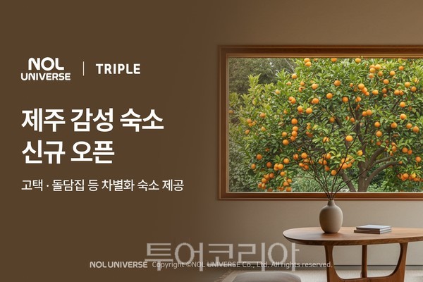 제주 돌담집에 묵어볼까…트리플, 제주 감성 숙소 신규 오픈