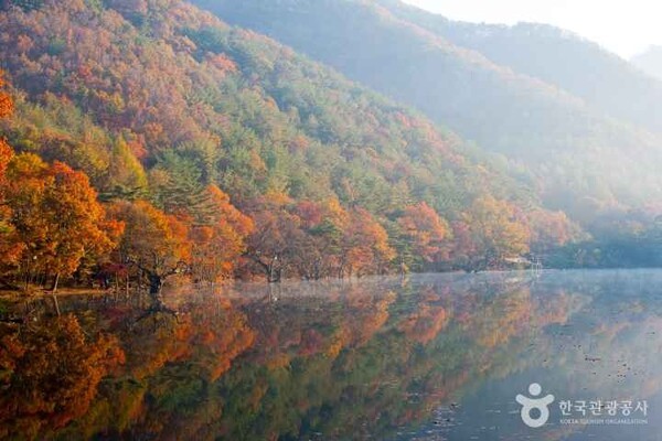 소노벨 청송, 자연 속 힐링 여행지로 어떨까?
