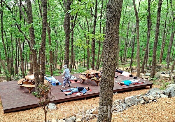 해남 흑석산자연휴양림, 건강한 힐링 여행지 인기