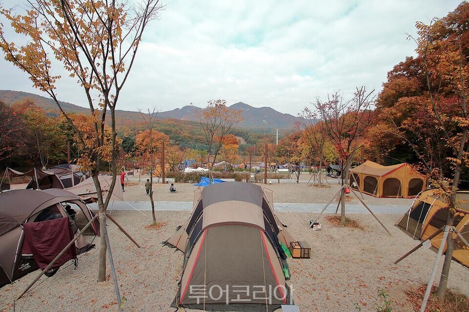 캠핑파워야영장
