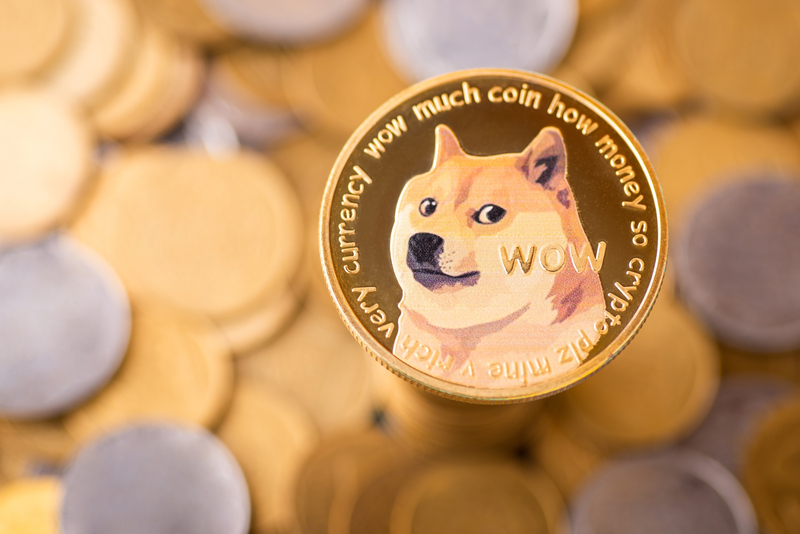 도지코인(DOGE), 0.5달러 돌파 임박?...DOGE 현물 ETF, 트럼프 행정부서 가능할 수도
