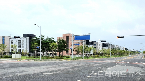 [르포] 시화MTV 금강 vs 파라곤 맛대결…신혼특공이 승부 가른다