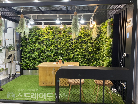 양천구, 실내 녹색쉼터 스마트가든 설치... 사계절 정원 즐길 수 있어