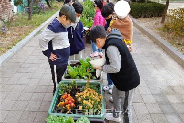 의정부시, 10개 초중고에 스쿨팜 조성