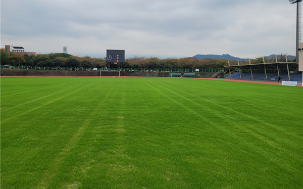 제주종합경기장.애향운동장, 겨울철 푸른색 잔디 유지