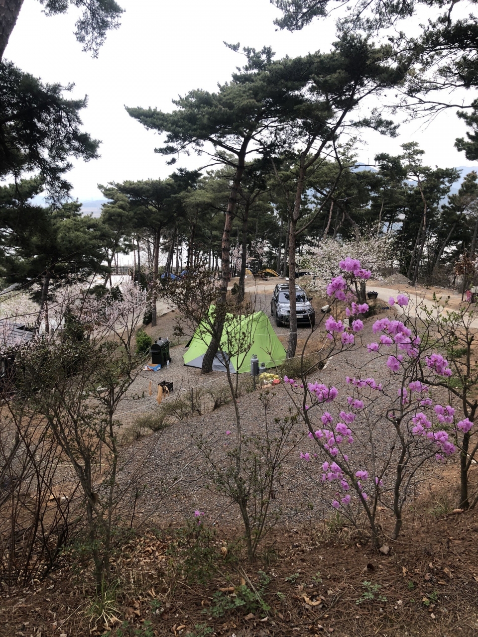 캠핑하기 좋은 가을, 캠핑하기 좋은 당진에서 즐기자! [산편]