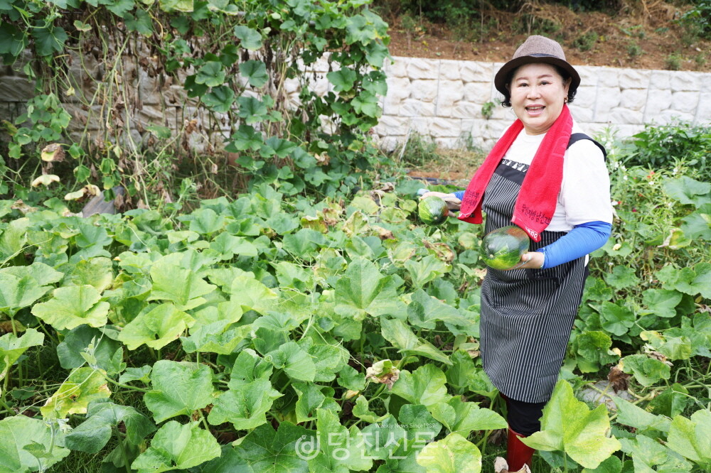 건강한 맛으로 초대합니다 들마루 식당