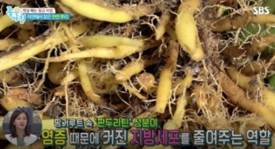 핑거루트 무엇? 홍지민 30㎏ 다이어트 성공한 비결, 섭취 방법은?