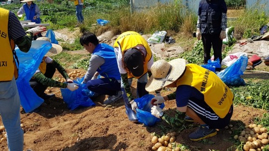 귀뚜라미에너지, 장마 대비 가스시설 점검 등 노력봉사 실시