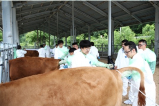 한우사육 청년 농업인 교육... 한우사육 위해 개발한 기술 꾸준히 보급할것