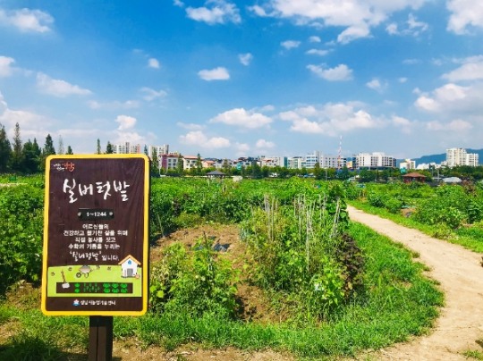 성남시민농원 내 실버텃밭 2500명에 무료 분양