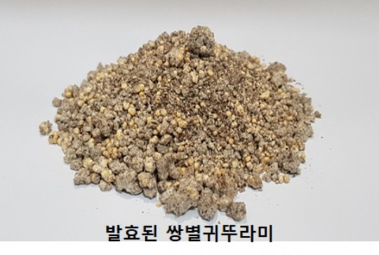 식용곤충 발효시켜 식품소재로 활용도 높인다