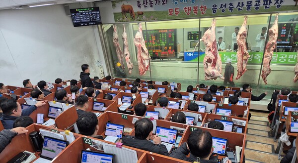 농협 축산경제, 농협축산물공판장 플랫폼 활용한 스마트 경매 실시