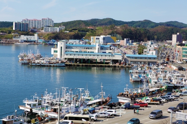 구룡포수협 - 창립 100주년, 하나되는 조합으로 거듭날 것