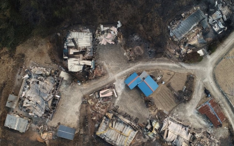 [금일 사건사고 주요기사] 동해안 산불 진화 교착...선관위 난입 가세연 구독자들 입건 外